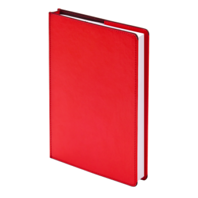 Ежедневник недатированный А6+ -0