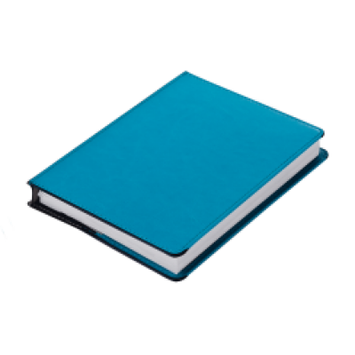 Ежедневник недатированный А6+ -3
