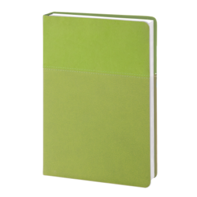 Ежедневник недатированный А5 -1