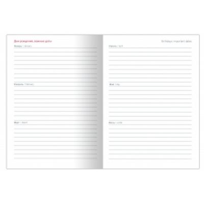 Ежедневник недатированный А6+ -4