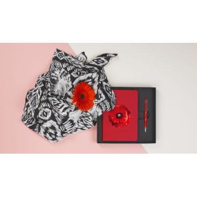 Набор подарочный Неаполь, покрытие soft touch, красный-1