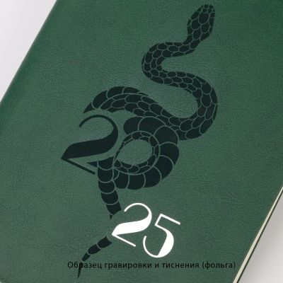 Ежедневник недатированный Альба, формат А5, гибкая обложка, зеленый-4
