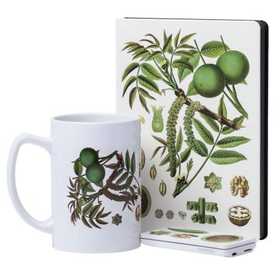 Ежедневник «Грецкий орех», недатированный-3