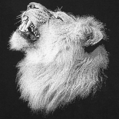 Свитшот детский Like a Lion, черный-3