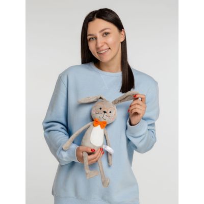 Игрушка Brainy Bunny-4