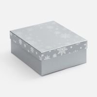 Коробка Wintry, серебристая