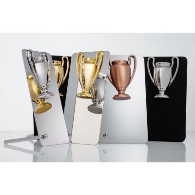 Награда Triumph Bronze-5