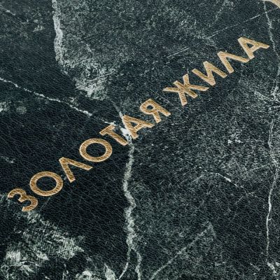 Ежедневник «Золотая Жила»-5