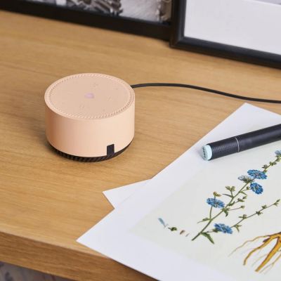 Умная колонка «Яндекс Станция Лайт», капучино-7