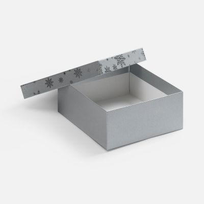 Коробка Wintry, серебристая-1