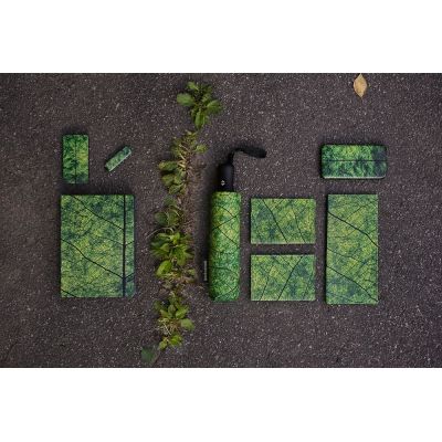 Зонт складной Evergreen-3