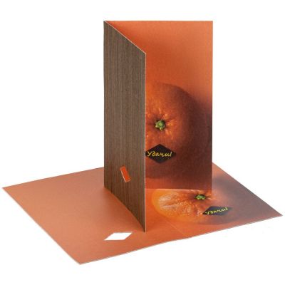 Набор Tangerine Dream, оранжевый-5