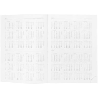 Ежедневник Time, датированный, бирюзовый-4