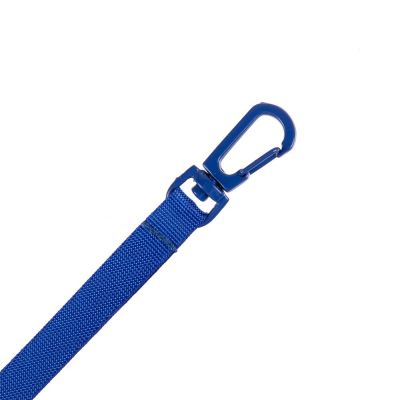 Застежка-карабин Snap Hook, S, синяя-1