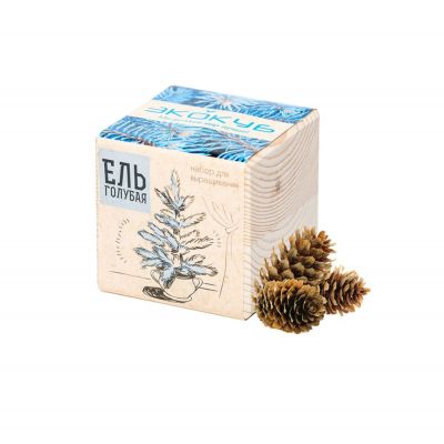 Набор для выращивания «Экокуб», ель голубая-0