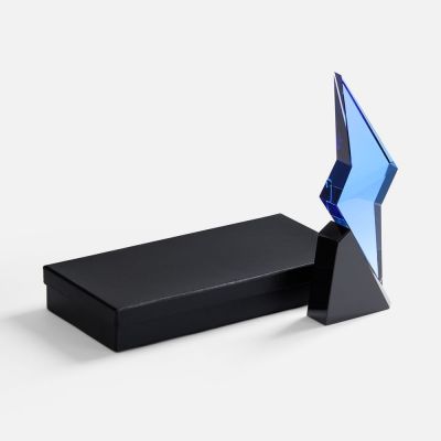 Стела Flash Forward-4