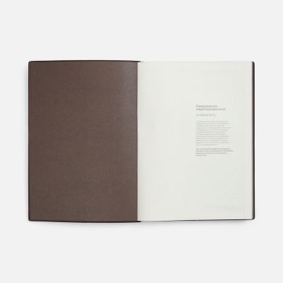 Ежедневник Stitch, недатированный, коричневый-6