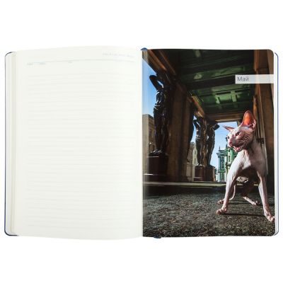 Ежедневник «Эрмитажные коты», синий-10