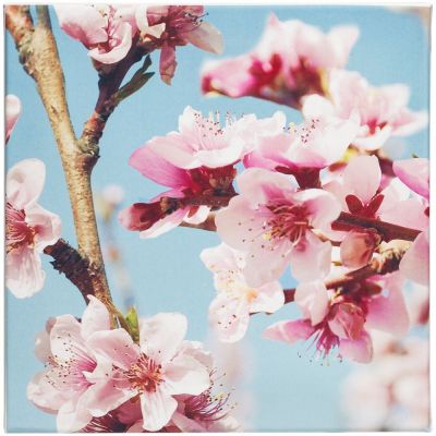 Настенная композиция «Цветение»-3