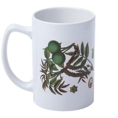 Кружка «Грецкий орех»-2