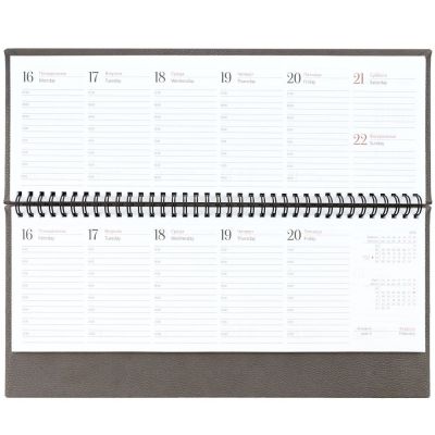 Планинг Sagrin, датированный, серый-4