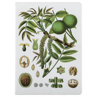 Ежедневник «Грецкий орех», недатированный-2