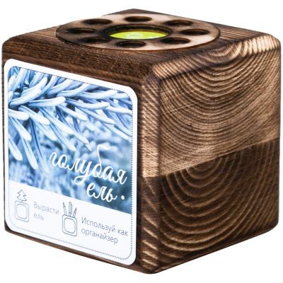 Набор для выращивания с органайзером «Экокуб Burn», ель голубая-0