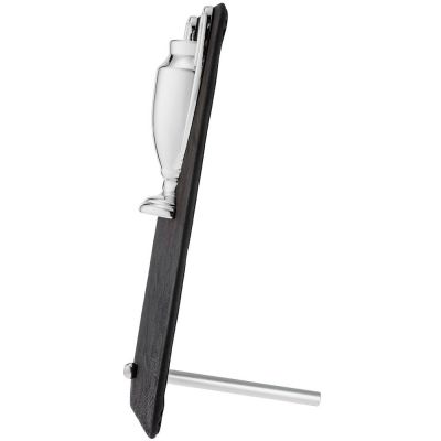 Награда Triumph Silver-3