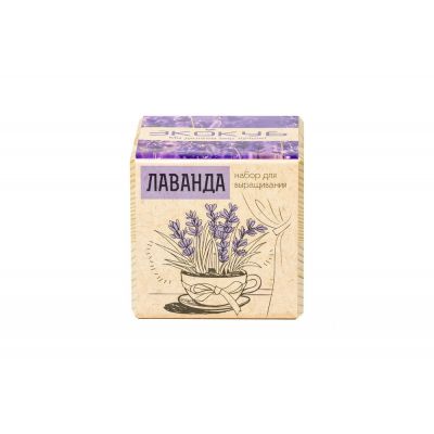 Набор для выращивания «Экокуб», лаванда-1