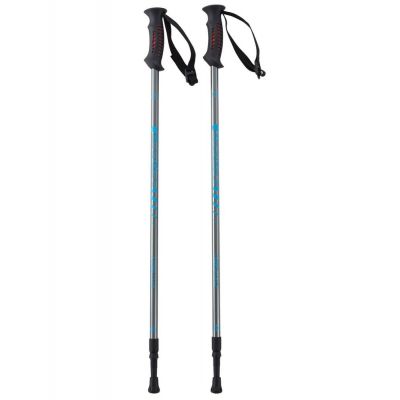 Палки для скандинавской ходьбы Oxygen, серебристо-голубые-0
