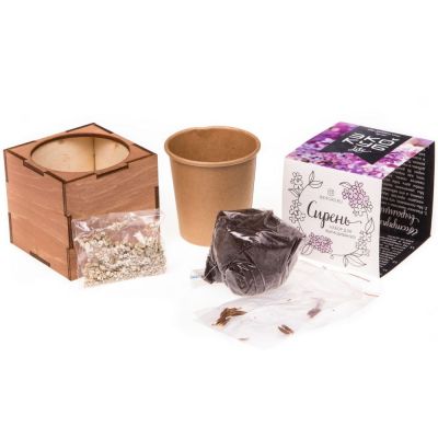 Набор для выращивания «Экокуб Lite», сирень-4