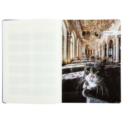 Ежедневник «Эрмитажные коты», синий-8