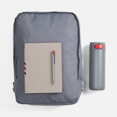Набор Flexpen Travel, серый с красным-1