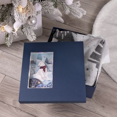 Коробка The Blue Bear, M-1