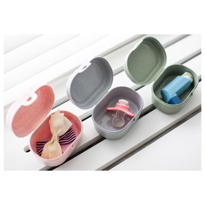 Ланчбокс Pascal Mini Organic, синий-1