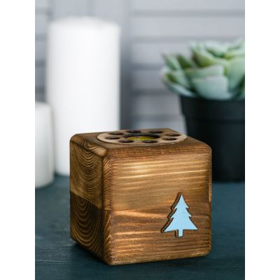 Набор для выращивания с органайзером «Экокуб Burn», ель голубая-2