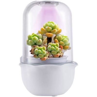 Умная теплица growUp, белая-11