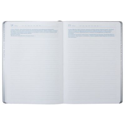 Ежедневник «Исторический», полудатированный, серебро-8