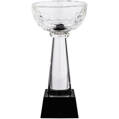 Кубок Cupture, малый-0