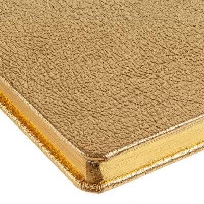 Блокнот NosoRock, золотистый-3