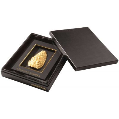 Панно «Большая шишка»-1