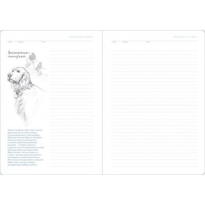 Ежедневник «История изобретений», недатированный, белый-5