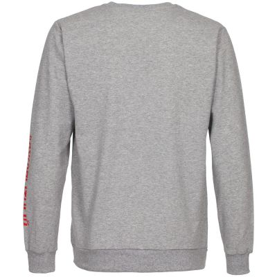 Толстовка «Яжопытный», серый меланж-3