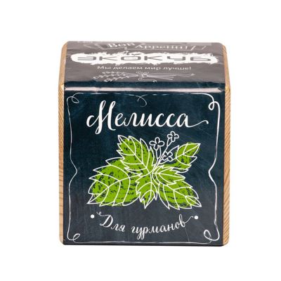 Набор для выращивания «Экокуб», мелисса-2