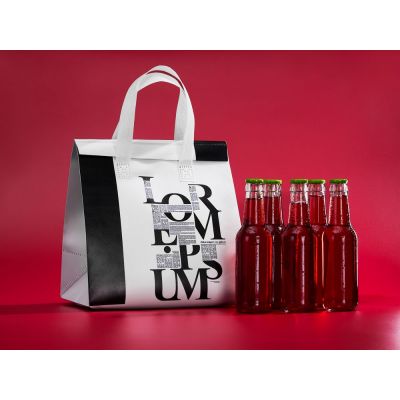 Термосумка «Термобэг» с печатью на заказ, L-5