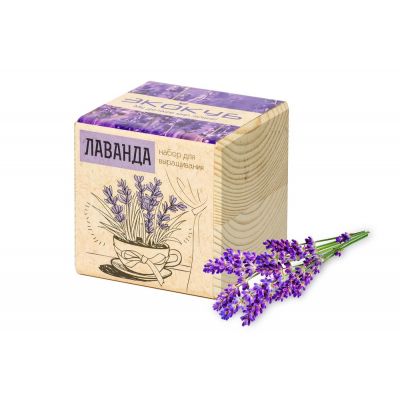Набор для выращивания «Экокуб», лаванда-0