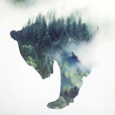 Футболка Siberian Bro, белая-2