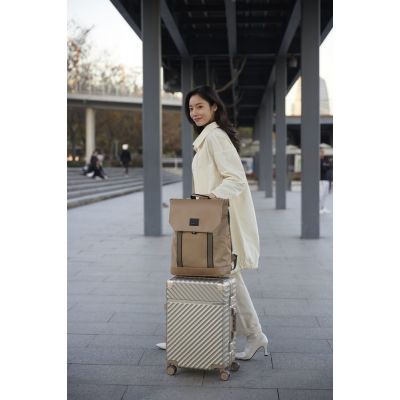 Чемодан Aluminum Frame PC Luggage V1, золотистый-13