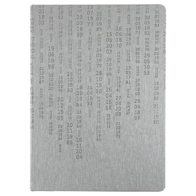 Ежедневник «Исторический», полудатированный, серебро-2