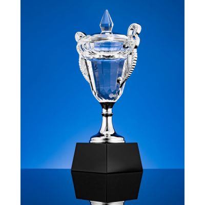 Кубок Victorious, уценка-1